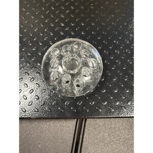 Clear Glass Flower Frog